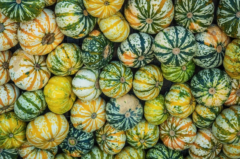 Low-Maintenance Varieties