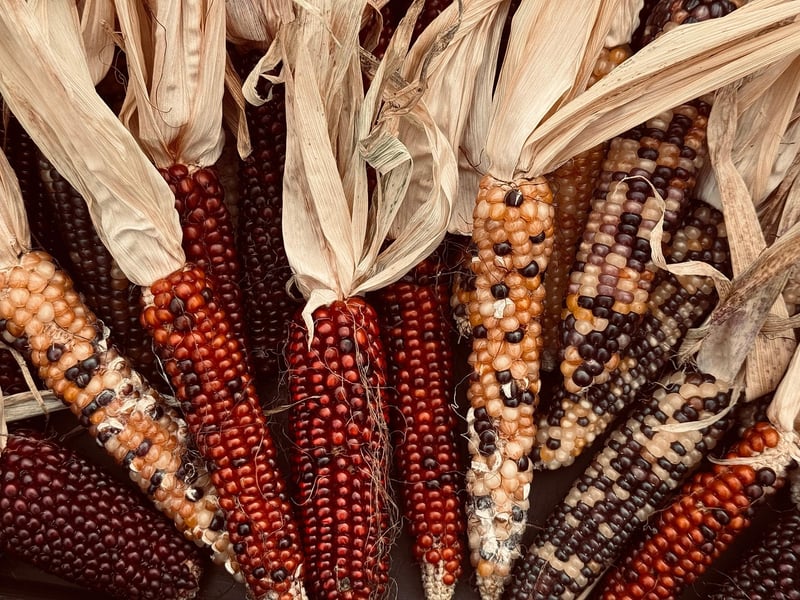Harvesting